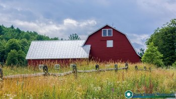 Sugar-Moon-Hill-Farm-Woodstock-Vermont-7-5-2024-2-Edit